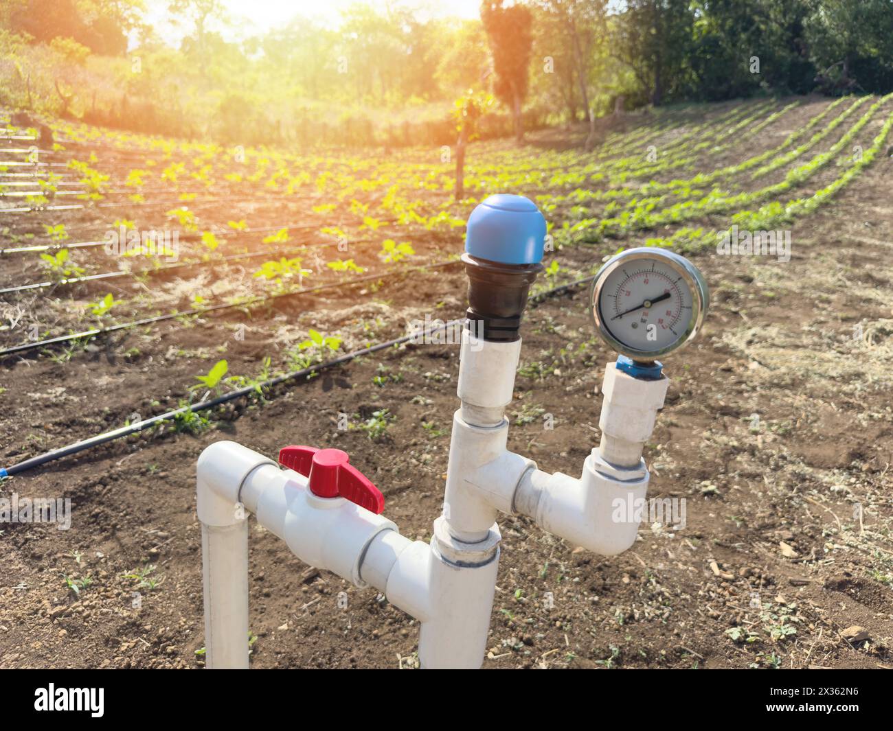 Sistema di tubi dell'acqua per irrigazione per campi agricoli su sfondo soleggiato Foto Stock