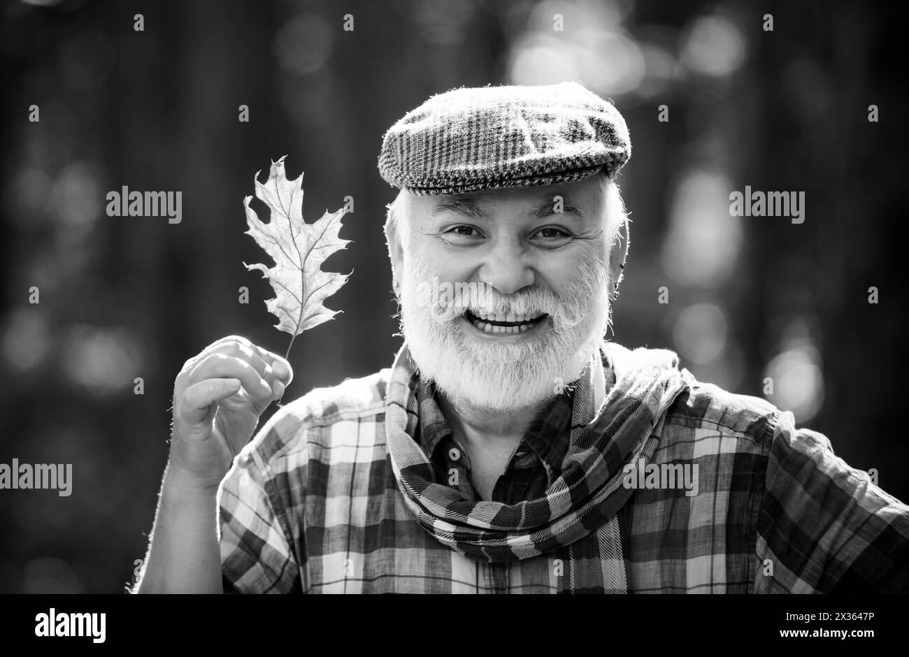 Uomo anziano su una passeggiata in una foresta in un autunno natura che tiene foglie. Uomo anziano sorridente che tiene foglie di autunno giallo al parco. Ritratto di un anziano Foto Stock