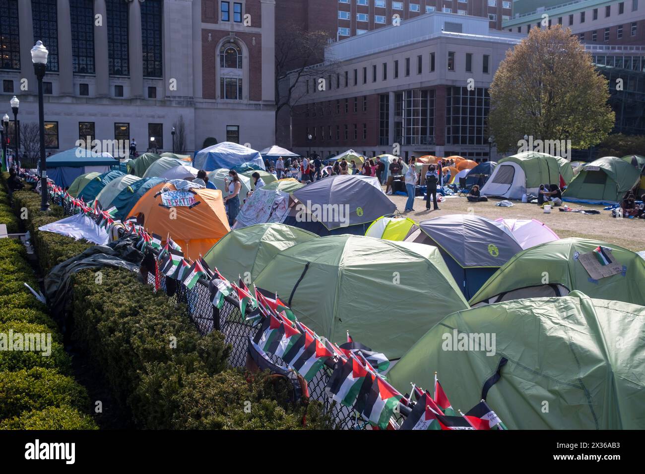 Accampamento occupato da manifestanti filo-palestinesi nel campus della Columbia University il 24 aprile 2024 a New York. Il fronte Popolare per la Liberazione della Palestina e un alto leader di Hamas dichiararono il loro sostegno agli accampamenti di tende non autorizzati che popolavano la Columbia University e altre università americane d'élite. Il relatore della camera Mike Johnson ha visitato il campus come amministratori scolastici e manifestanti studenteschi filo-palestinesi hanno fatto progressi nei negoziati dopo che la scuola ha fissato una scadenza di mezzanotte per gli studenti per sciogliere l'accampamento, e ha concordato un'estensione di 48 ore. Johnson ha Foto Stock