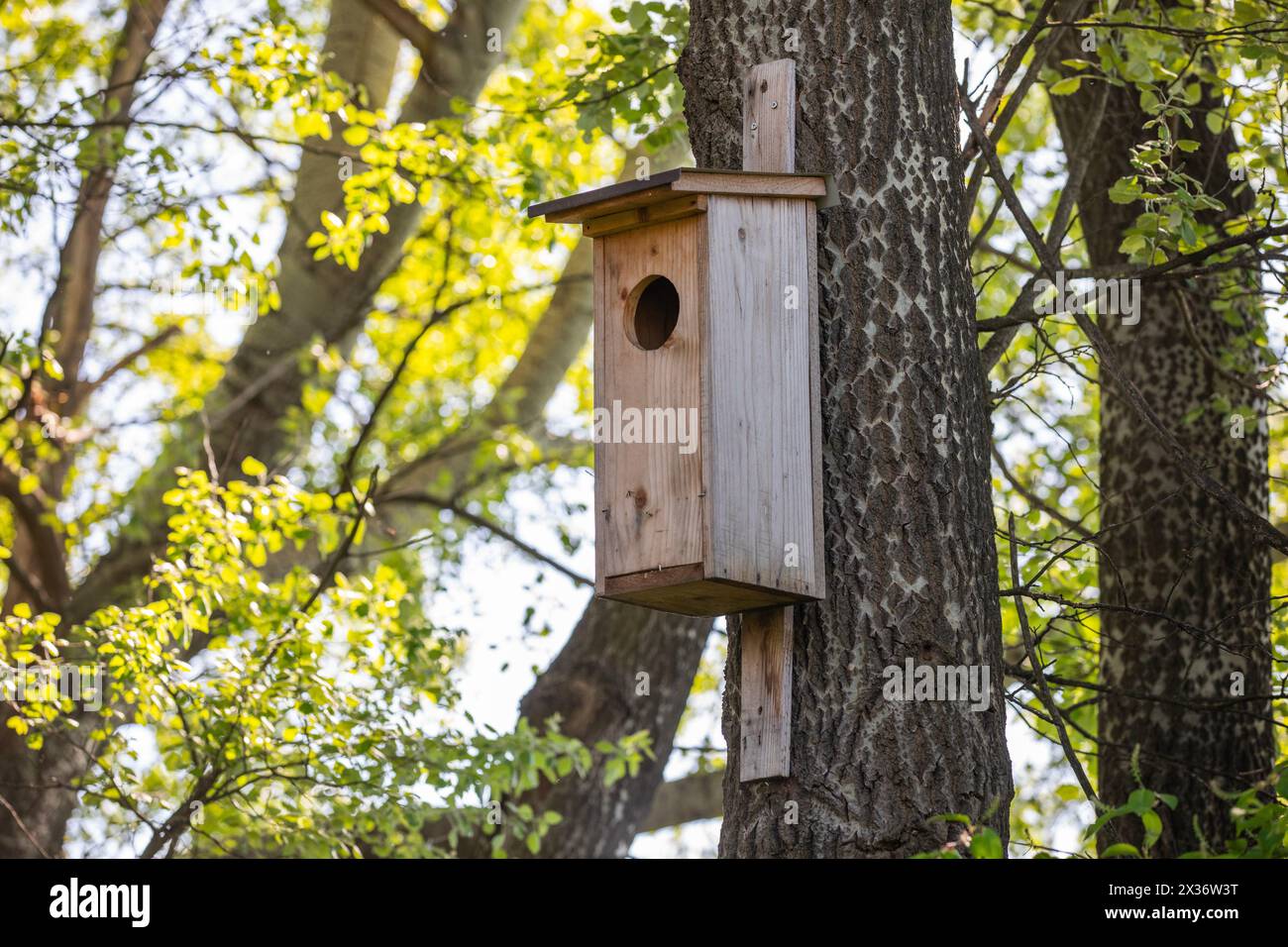 Birdhouse di legno su un muro di legno, primo piano Foto Stock