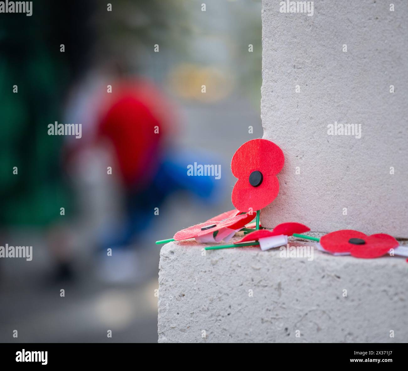 Papaveri rossi su un muro. Persone irriconoscibili sullo sfondo. Commemorazione dell'Anzac Day. Auckland. Nuova Zelanda. Foto Stock