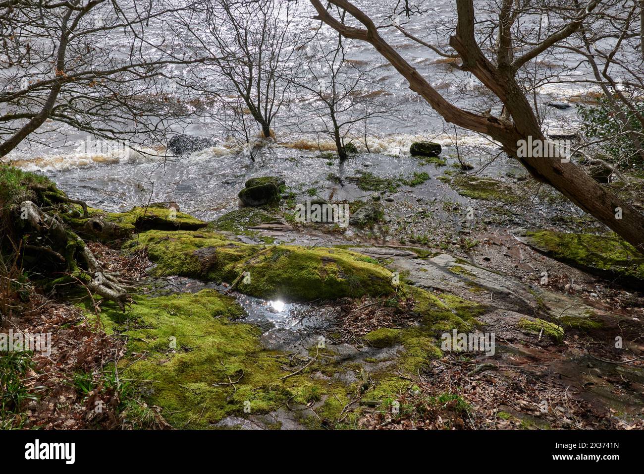 Onde che si infrangono sulla riva orientale del lago Lomond, ricoperta di muschio Foto Stock