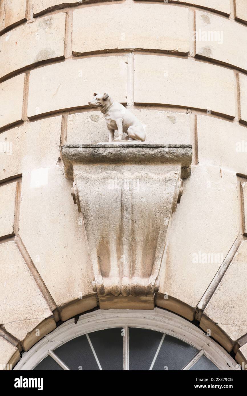 Bristol, Inghilterra - 30 marzo 2024: Statua del cane Nipper sull'angolo orientale a forma di cuneo dell'University Building, il Merchant Venturers Building, i Foto Stock