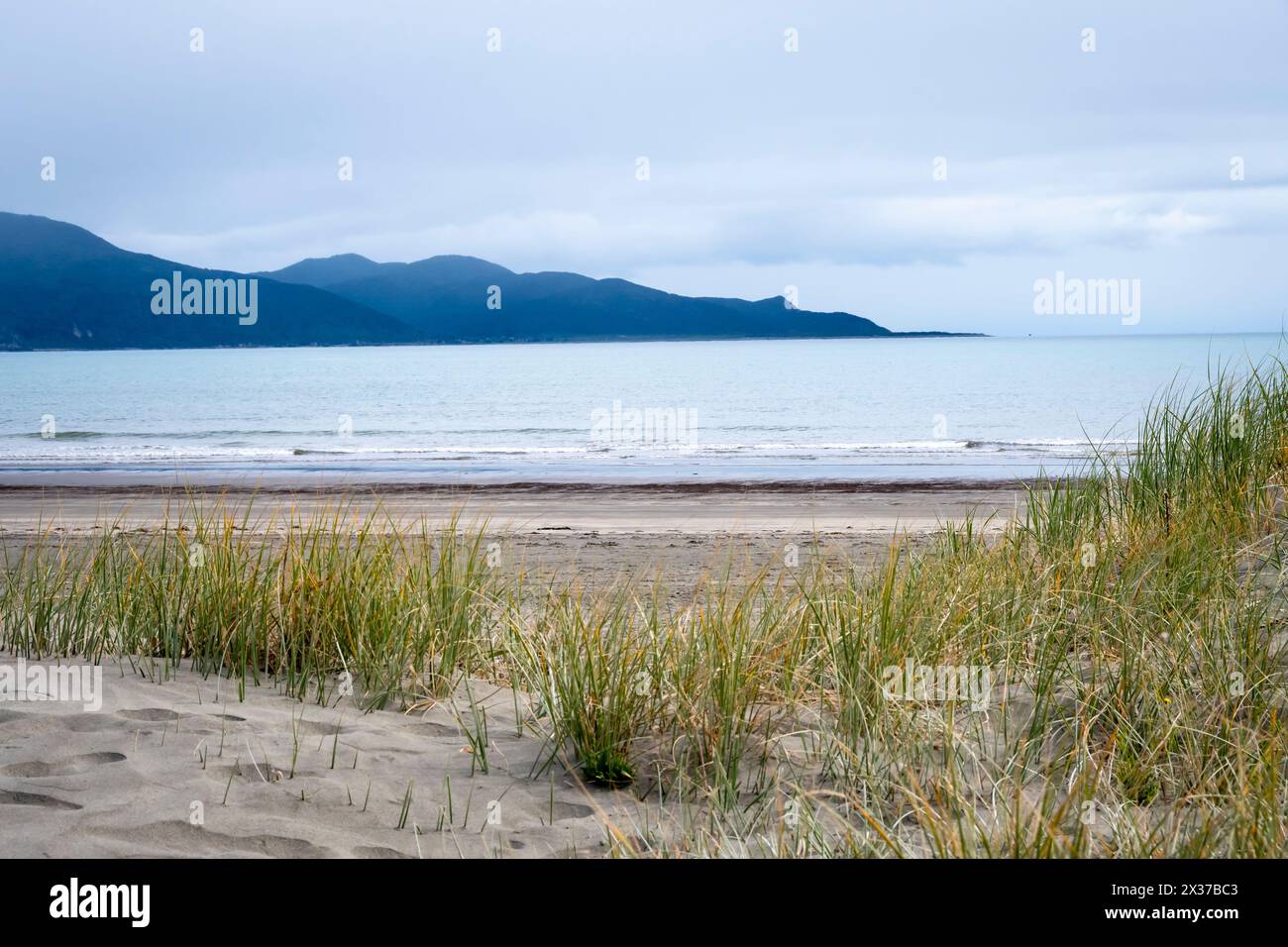 Kapiti Island da Waikanae Beach, Wellington, North Island, nuova Zelanda Foto Stock