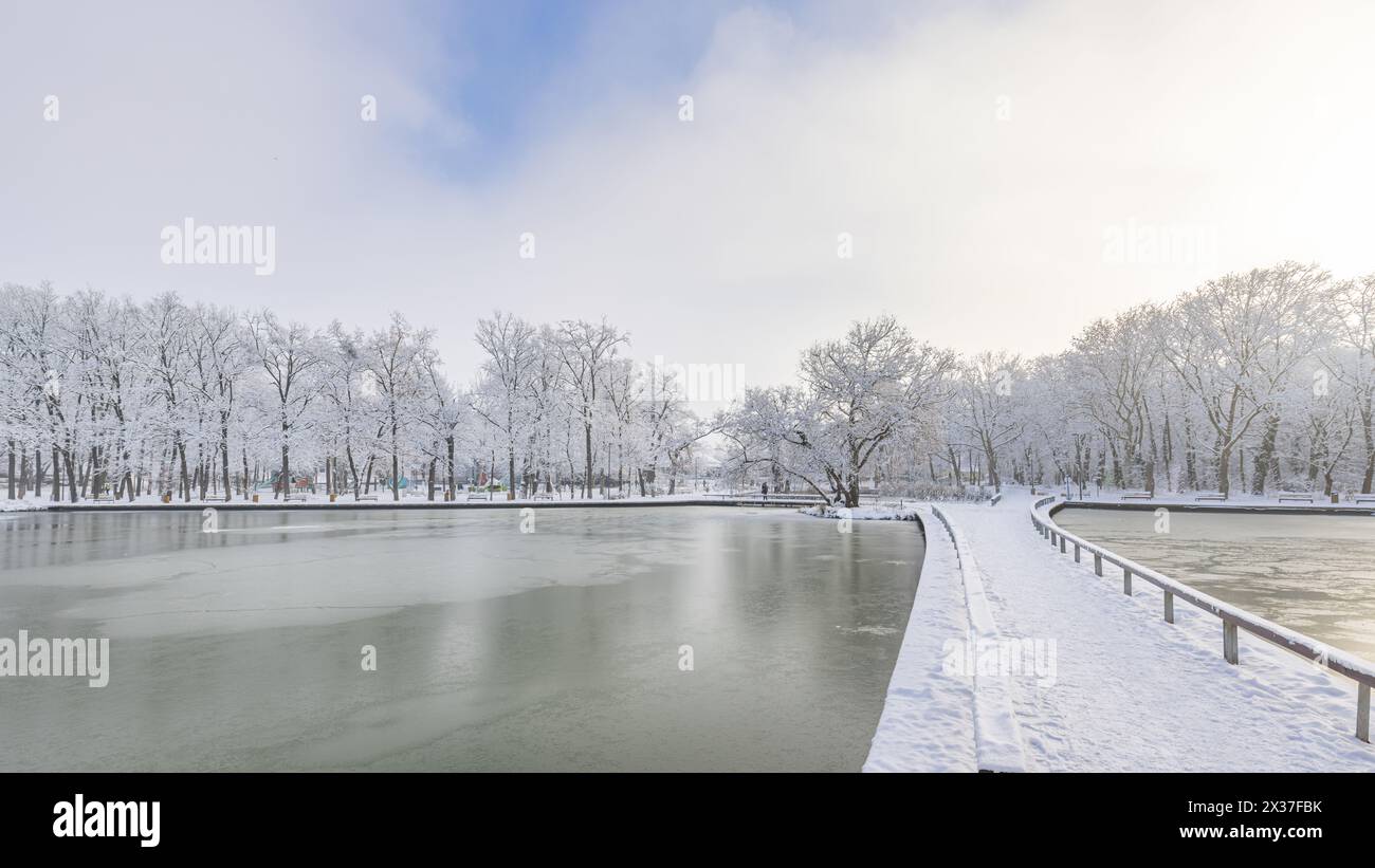 Lago ghiacciato in un parco invernale innevato con alberi ghiacciati e cielo nuvoloso morbido. Panorama di paesaggio stagionale freddo. Natura scenografica pacifica bianca all'aperto calma Foto Stock