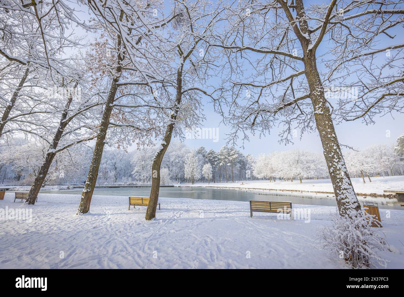Parco invernale innevato con alberi ghiacciati, panchina e lago ghiacciato sotto un cielo azzurro. Scena di paesaggio stagionale freddo. Natura scenografica pacifica all'aperto bianca luminosa Foto Stock