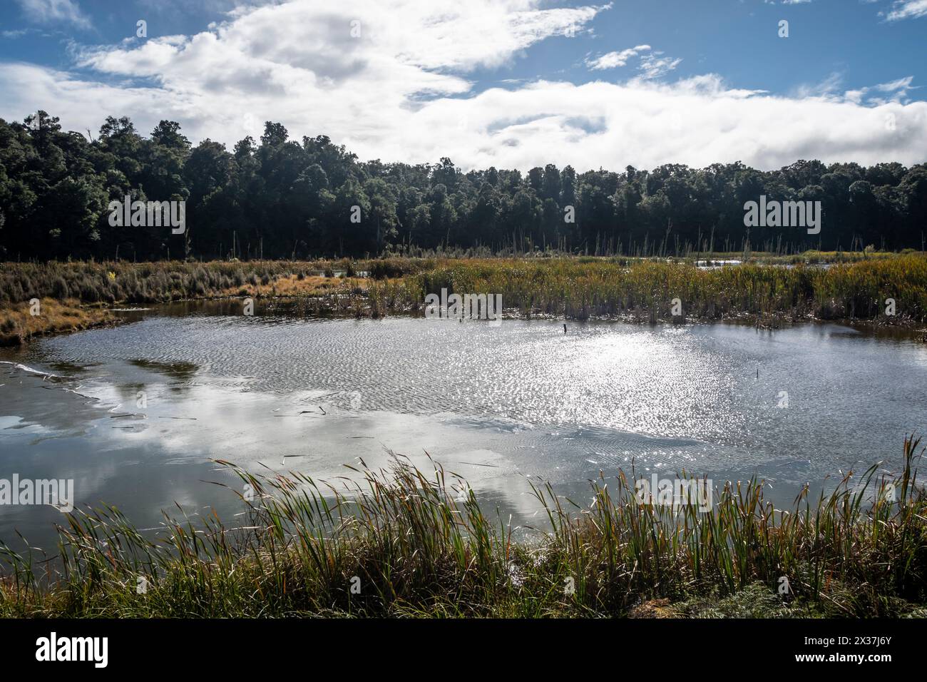 Lago Rotokura, Tongariro National Park, North Island, nuova Zelanda Foto Stock