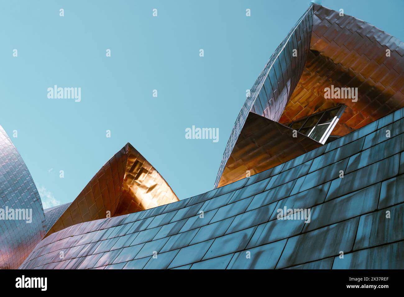 Museo Guggenheim architettura di Bilbao, destinazioni turistiche di Bilbao Foto Stock