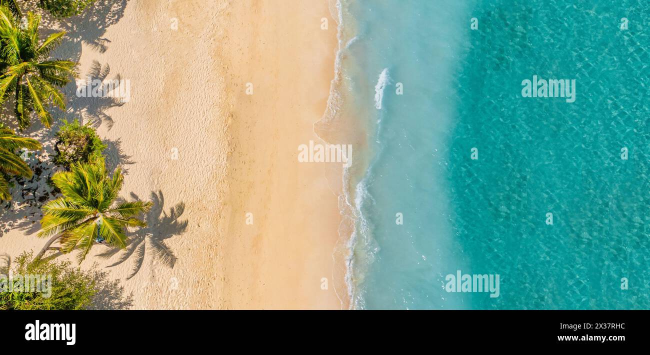 Splendida spiaggia dell'isola. Maldive dall'alto vista del tranquillo paesaggio tropicale sul mare con palme sulla spiaggia di sabbia bianca. Esotica spiaggia naturale, lusso Foto Stock