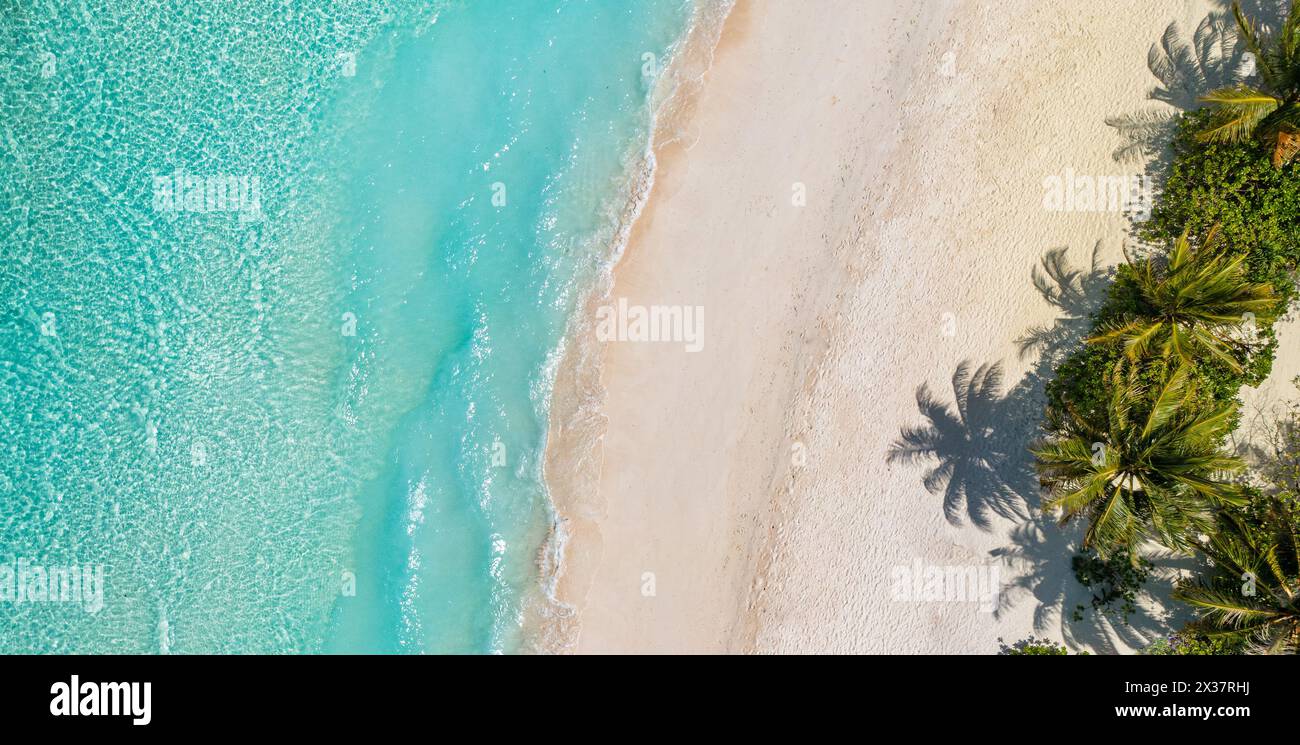 Splendida spiaggia dell'isola. Maldive dall'alto vista del tranquillo paesaggio tropicale sul mare con palme sulla spiaggia di sabbia bianca. Esotica spiaggia naturale, lusso Foto Stock