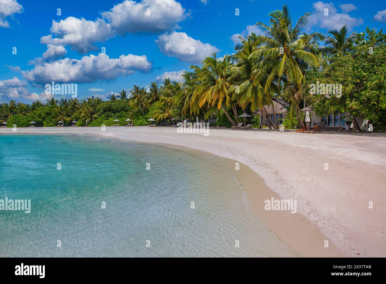 Splendida spiaggia naturale con palme e cielo moodico. Vacanze estive in viaggio per le vacanze. Spiaggia paradisiaca delle Maldive. Viaggi di lusso, turismo estivo Foto Stock