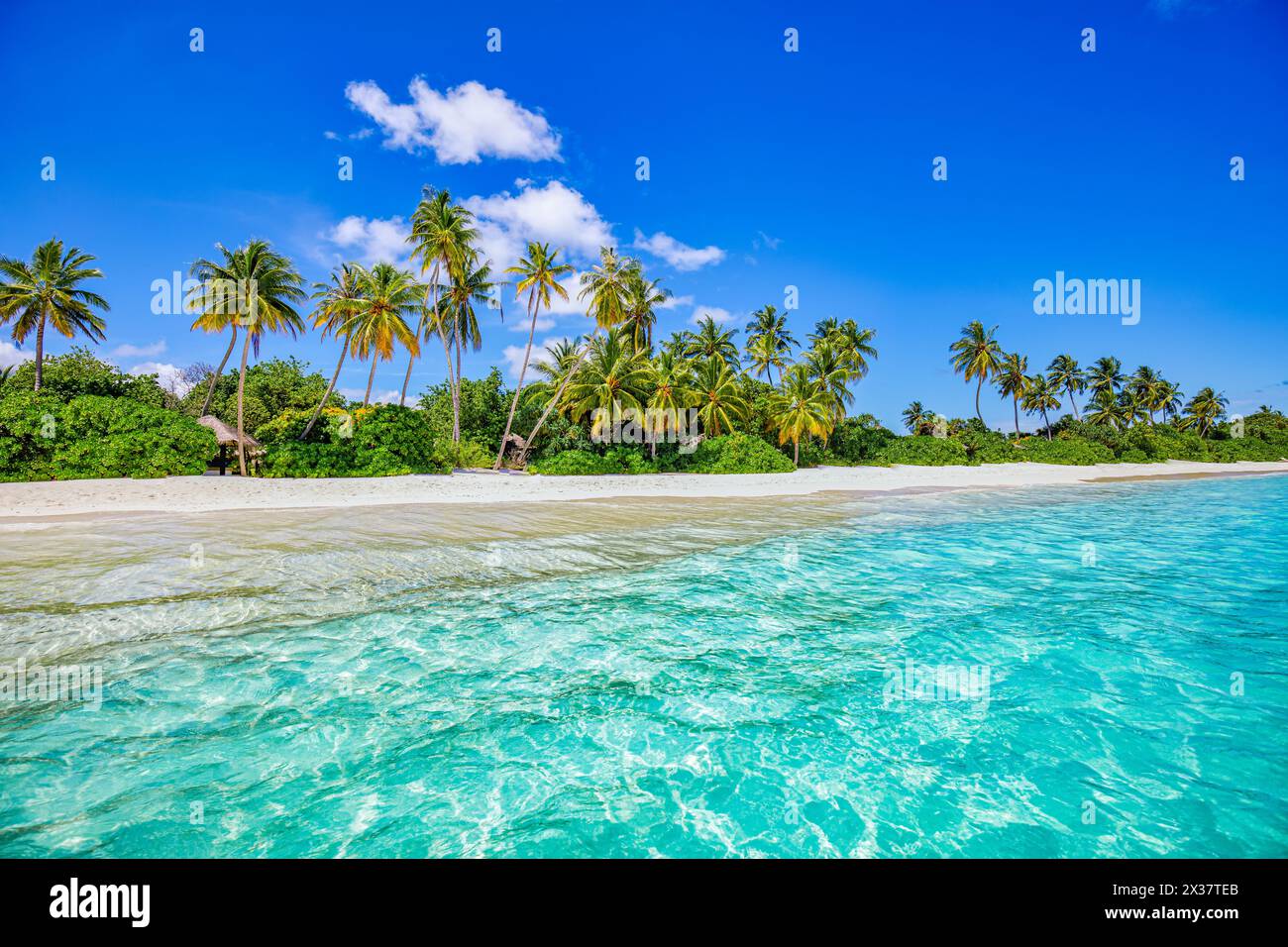 Splendida spiaggia naturale con palme e cielo moodico. Vacanze estive in viaggio per le vacanze. Spiaggia paradisiaca delle Maldive. Viaggi di lusso, turismo estivo Foto Stock