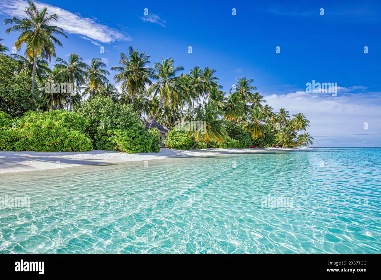 Splendida spiaggia naturale con palme e cielo moodico. Vacanze estive in viaggio per le vacanze. Spiaggia paradisiaca delle Maldive. Viaggi di lusso, turismo estivo Foto Stock