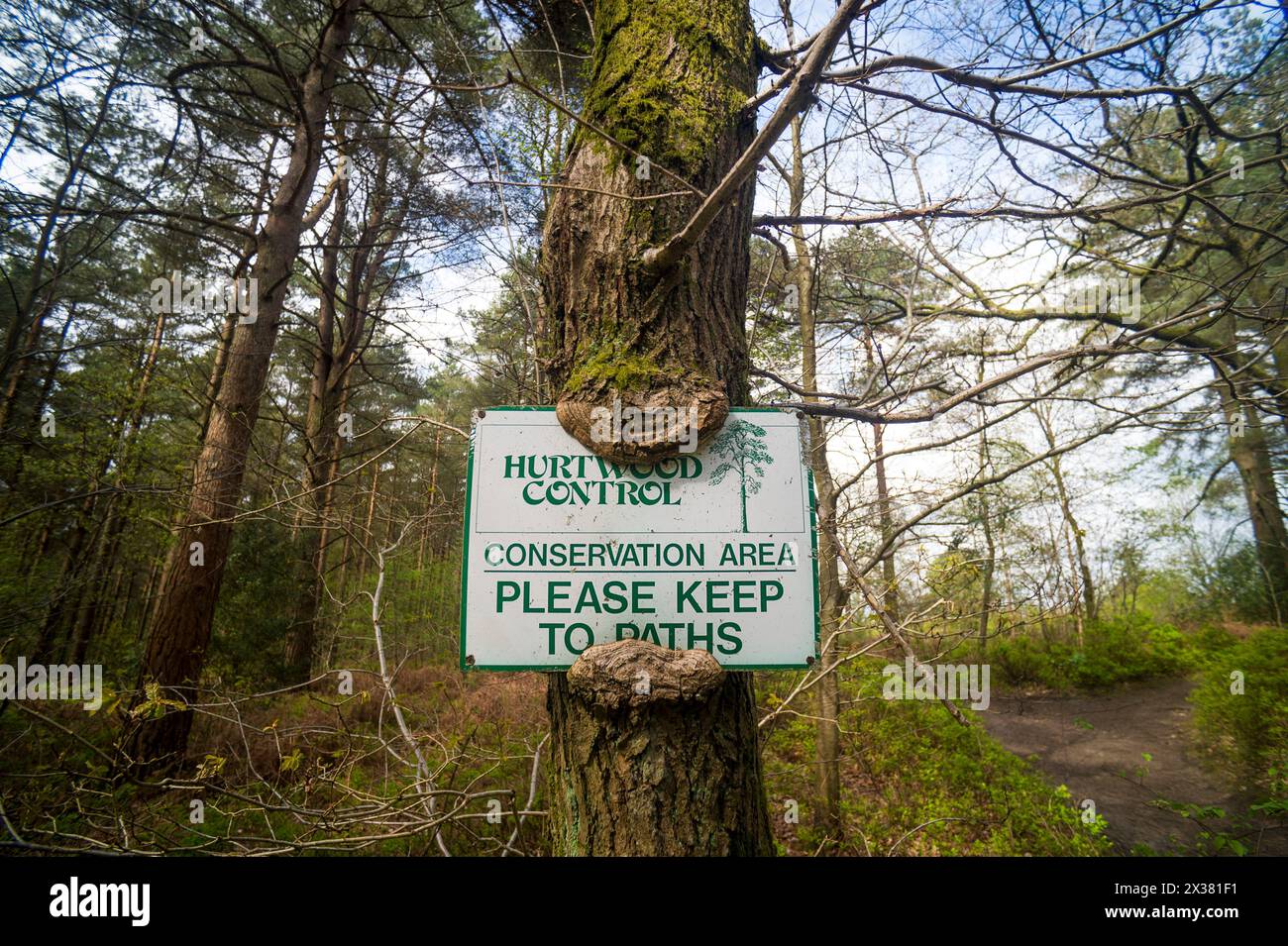 Cartello con la scritta "Conservation area", si prega di mantenersi sui sentieri. Controllo Hurtwood. Surrey, Regno Unito Foto Stock