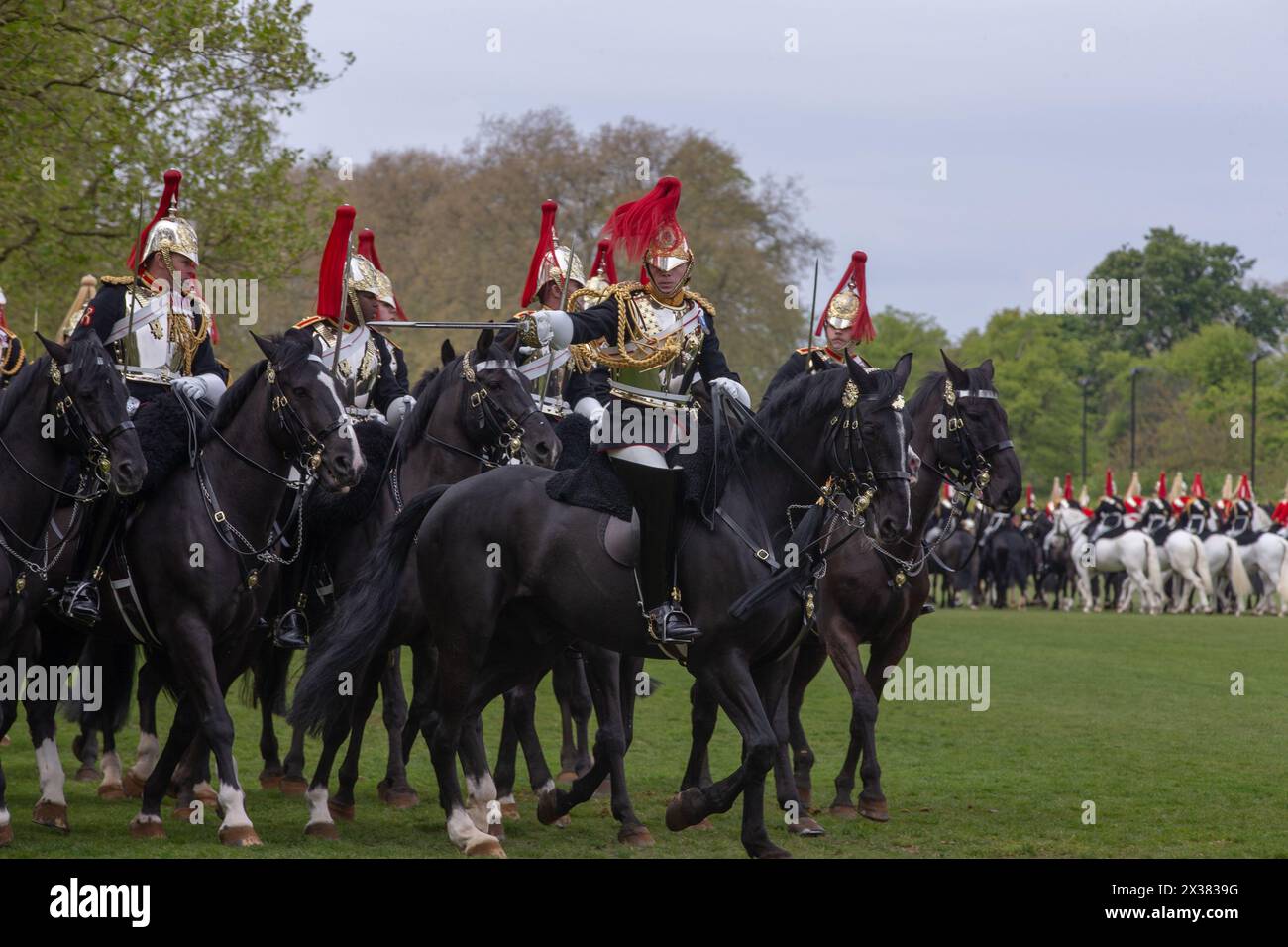 Londra, regno unito, 25 aprile 2024 il test finale del Household Cavalry Pass per la parata del compleanno del re credito: Richard Lincoln/Alamy Live News Foto Stock