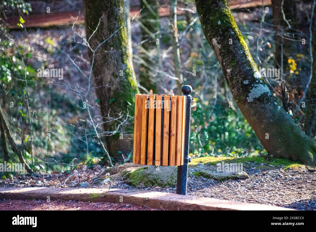 Un cestino dei rifiuti collocato lungo la strada di corsa nella foresta, promuovendo la pulizia e la tutela ambientale. Foto Stock