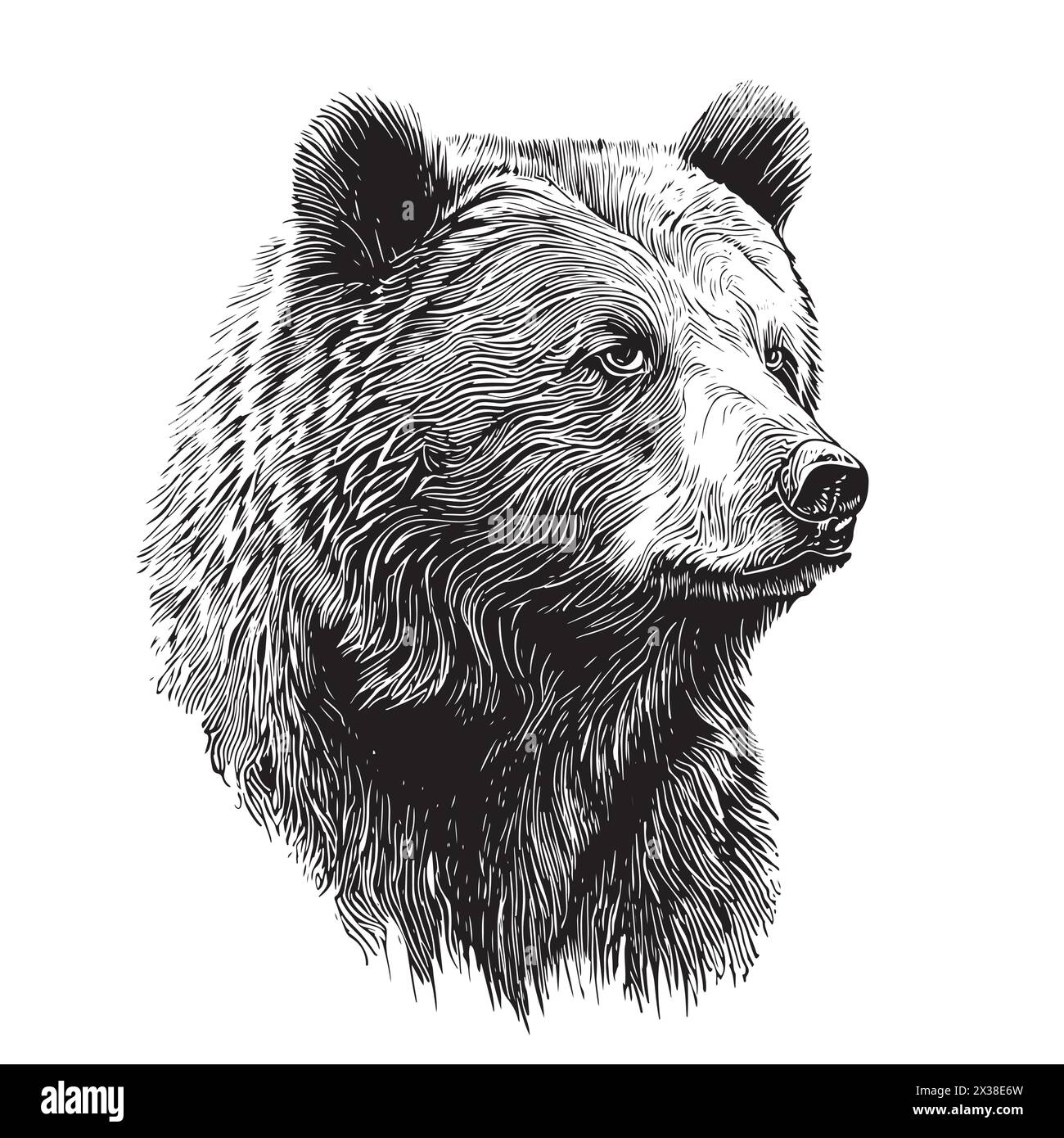 Abbozzo disegnato a mano con la testa d'orso in un'illustrazione in stile doodle Illustrazione Vettoriale