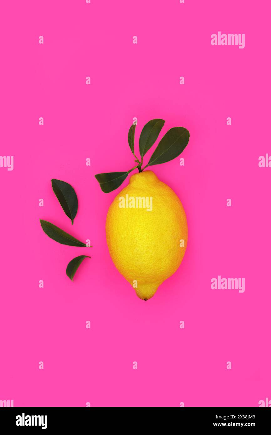 Design estivo di agrumi al limone con foglie su sfondo rosa vivace e sgargiante. Cibo sano per aiutare la perdita di peso ad alto contenuto di antiossidanti, bio flavonoidi. Foto Stock