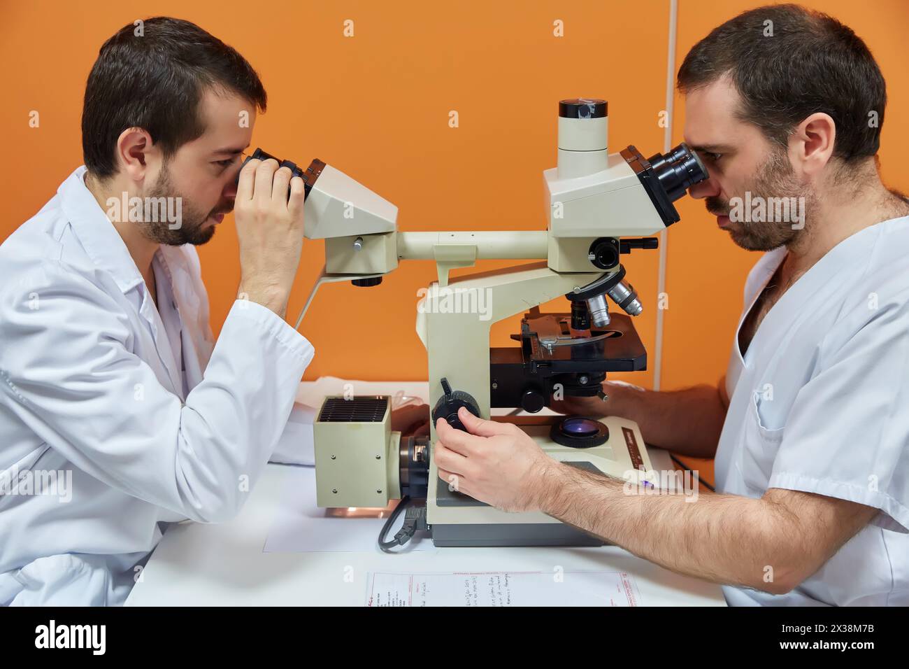 Teste per microscopio binoculare per la visualizzazione multipla, patologia anatomica, ospedale Donostia, San Sebastian, Gipuzkoa, paesi Baschi, Spagna Foto Stock