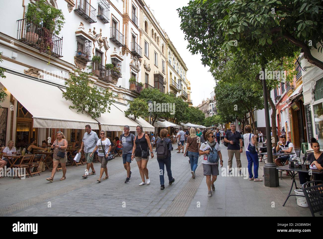 Siviglia: Quartiere di Santa Cruz, via Mateos Gago Foto Stock