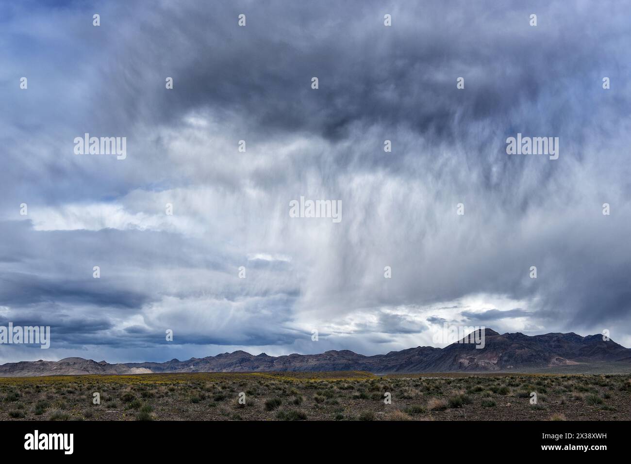 Storm Clouds Over Ash Meadows National Wildlife Refuge, situato nella valle di Amargosa nel Nevada sudoccidentale, a est del Death Valley National Park. Foto Stock