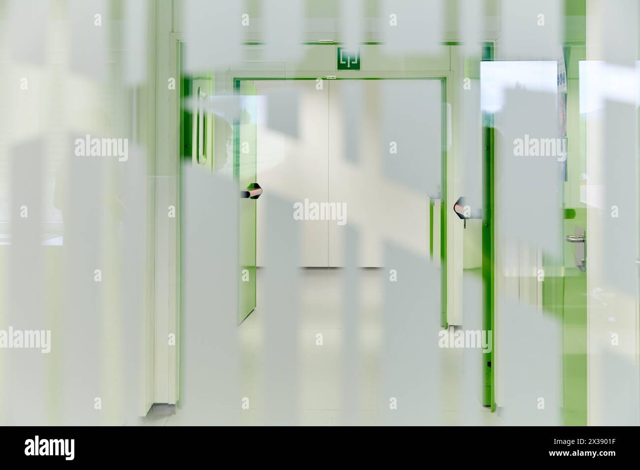 Patologia anatomico, Ospedale Donostia, San Sebastian, Gipuzkoa, Paesi Baschi Foto Stock