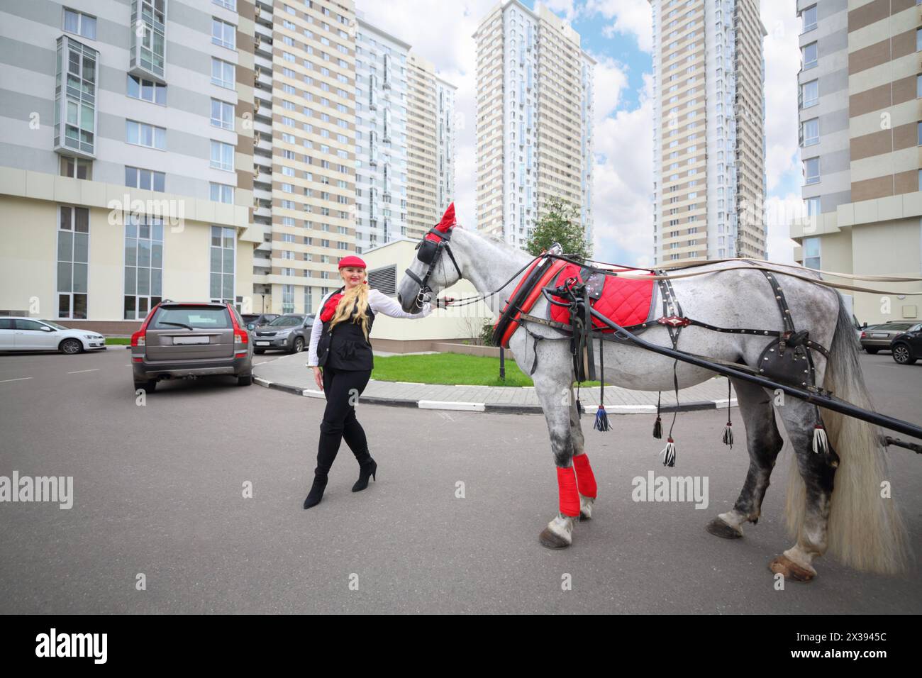 La giovane donna Coachman sta con il cavallo in un'imbracatura rossa vicino agli edifici residenziali Foto Stock
