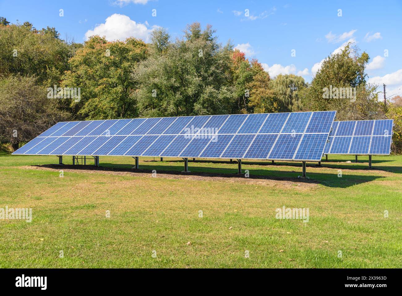 File di pannelli solari su erba con alberi sullo sfondo in una limpida giornata autunnale Foto Stock