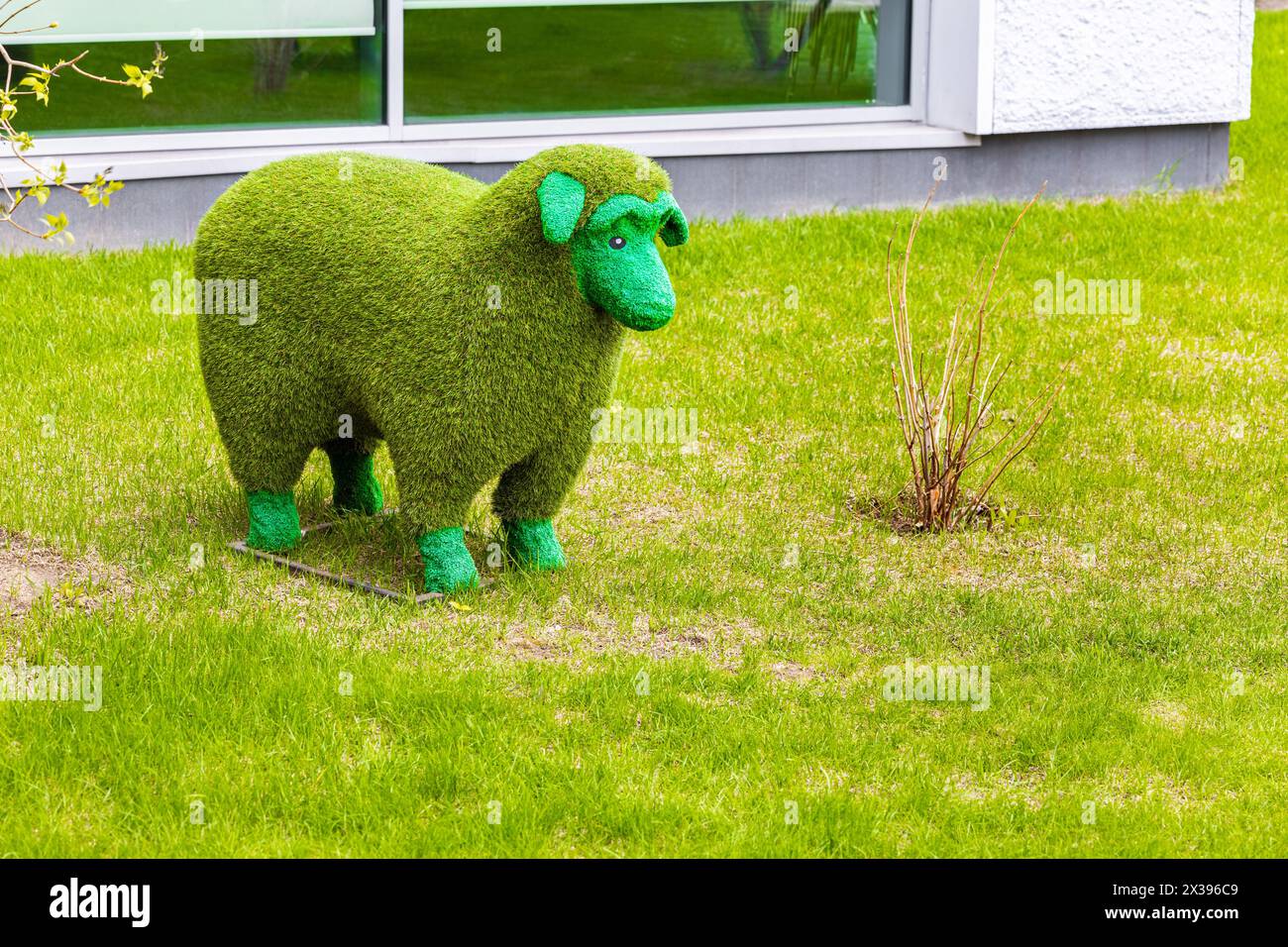 figura paesaggistica di una pecora in piedi sul prato Foto Stock