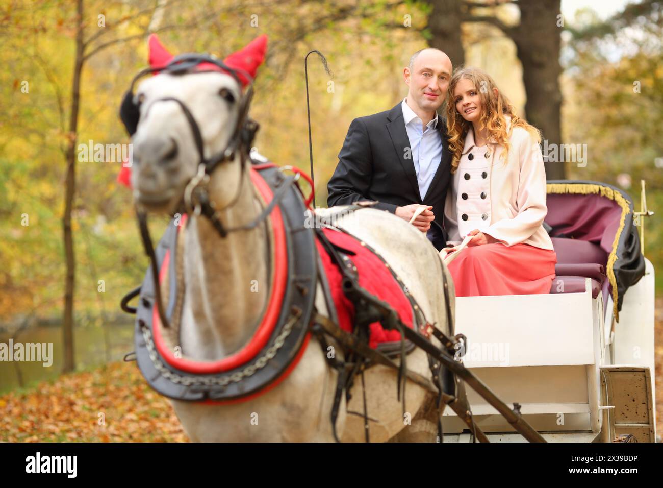 Uomo e donna siedono in pullman con cavallo e tengono le redini nel parco autunnale Foto Stock