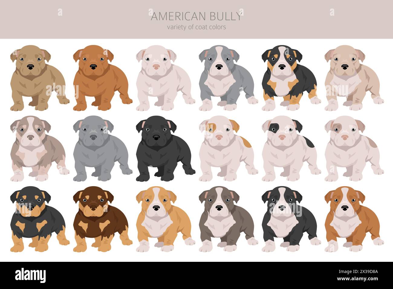 Cucciolo americano bullo di tutti i colori clipart. Set di colori diversi per il rivestimento. Illustrazione vettoriale Illustrazione Vettoriale