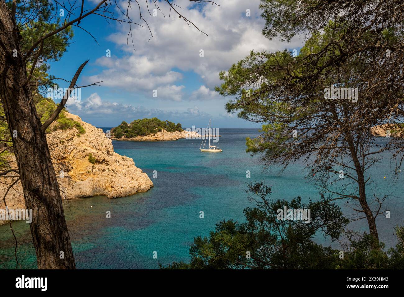 Cala de sa Ferradura, vicino alla spiaggia di Port de Sant Miquel, è un paradiso per la vela, Sant Joan de Labritja, Ibiza, Isole Baleari, Spagna Foto Stock