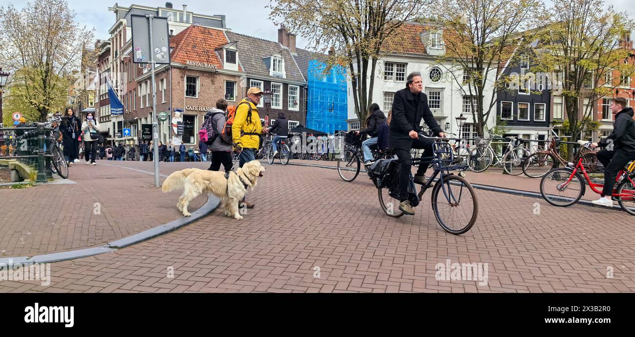 AMSTERDAM, NETHLANDS - 25 APRILE 2024 - le persone viaggiano in bicicletta in una strada di Amsterdam, Paesi Bassi, 25 aprile 2024. Foto Stock