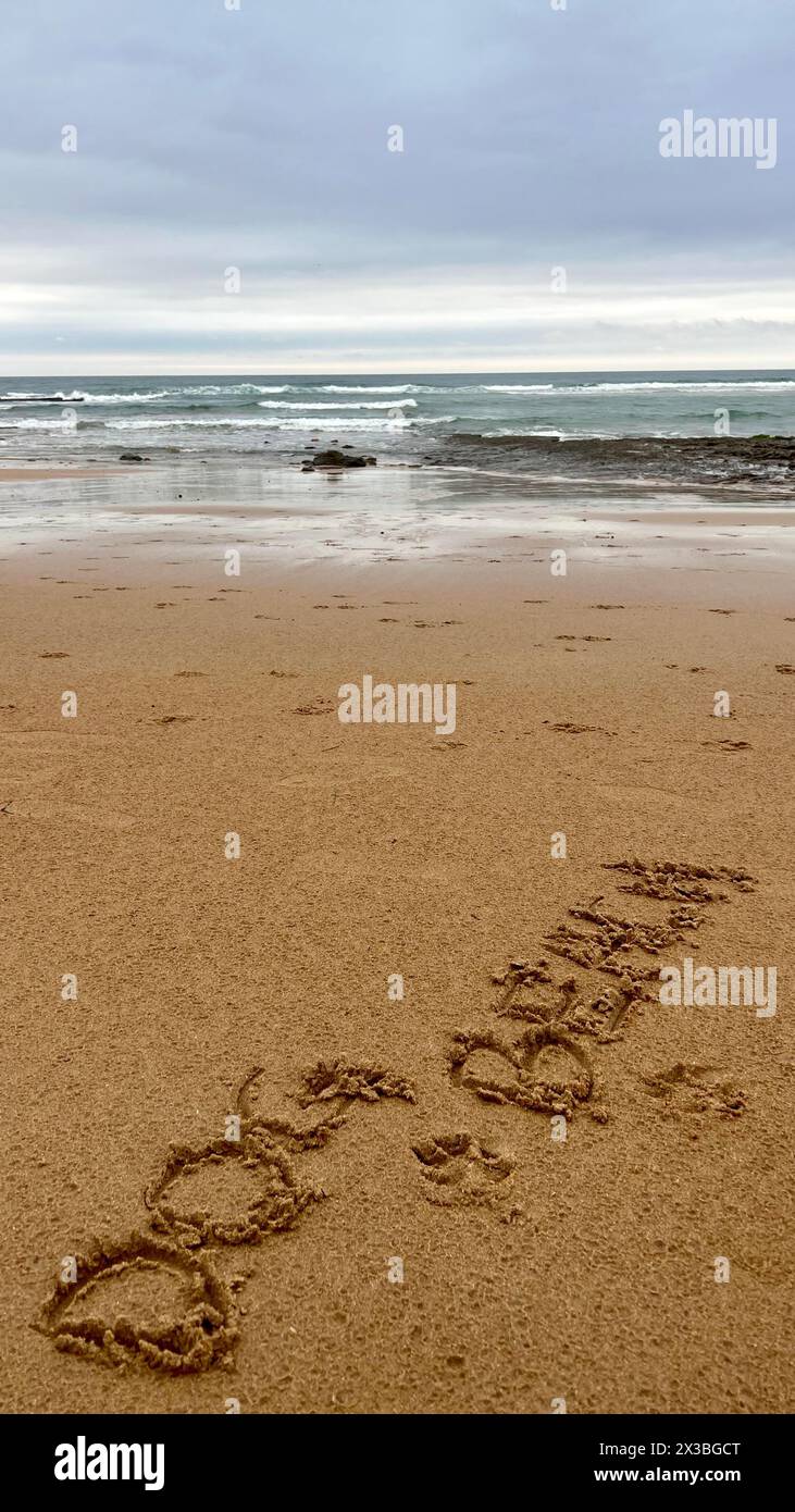 Abito da mare verticale con la frase spiaggia per cani scritta sulla sabbia della spiaggia con stampe per cani. I cani sono ammessi sulla spiaggia. Spiagge in cui sono ammessi gli animali domestici Foto Stock