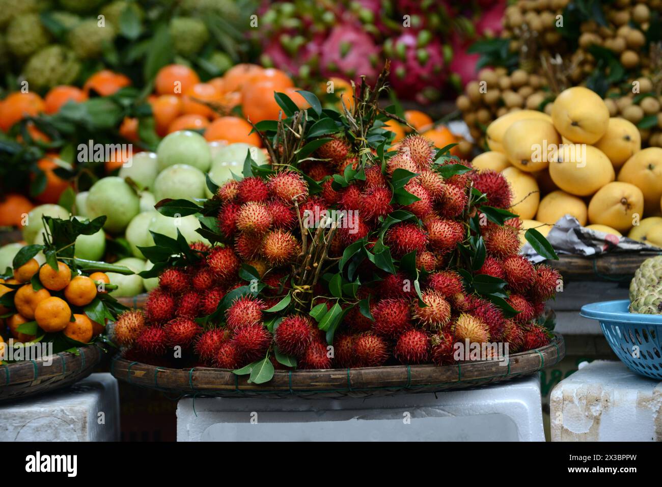 Un commerciante di frutta al mercato centrale di Hoi An, Vietnam. Foto Stock