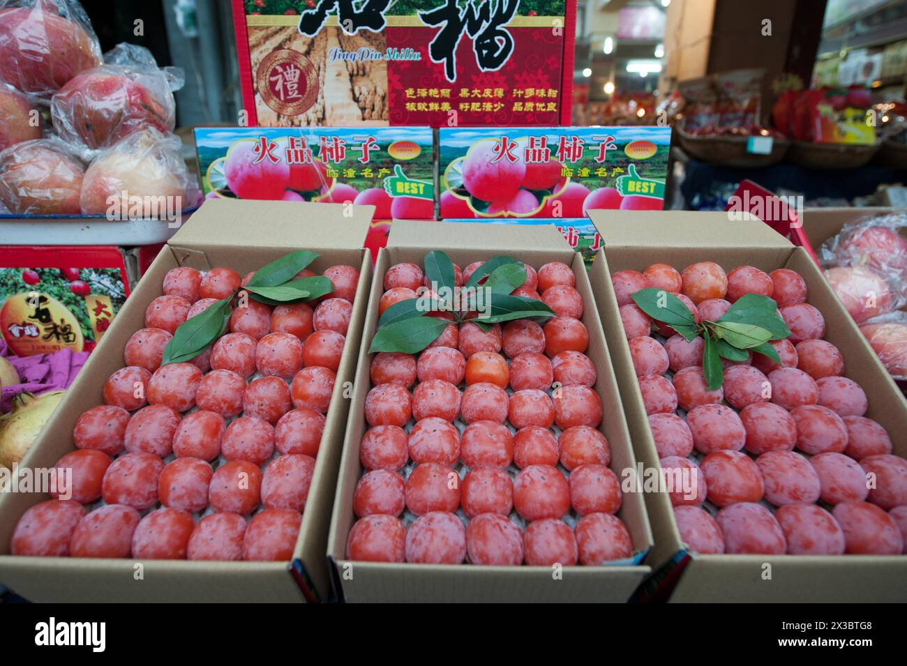 Diospyros kaki, frutta, cina Foto Stock