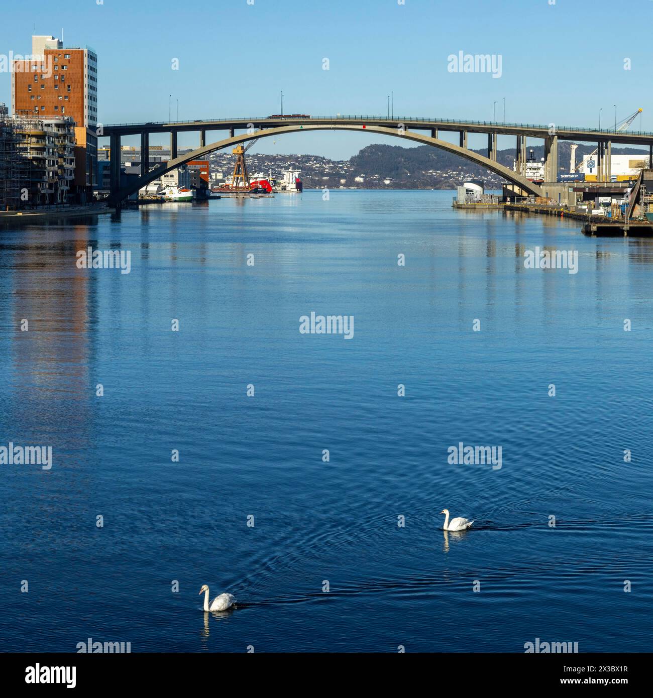 Damsgardssundet Bridge, Bergen, Norvegia, costa sud-occidentale, Scandinavia, nord Europa Foto Stock