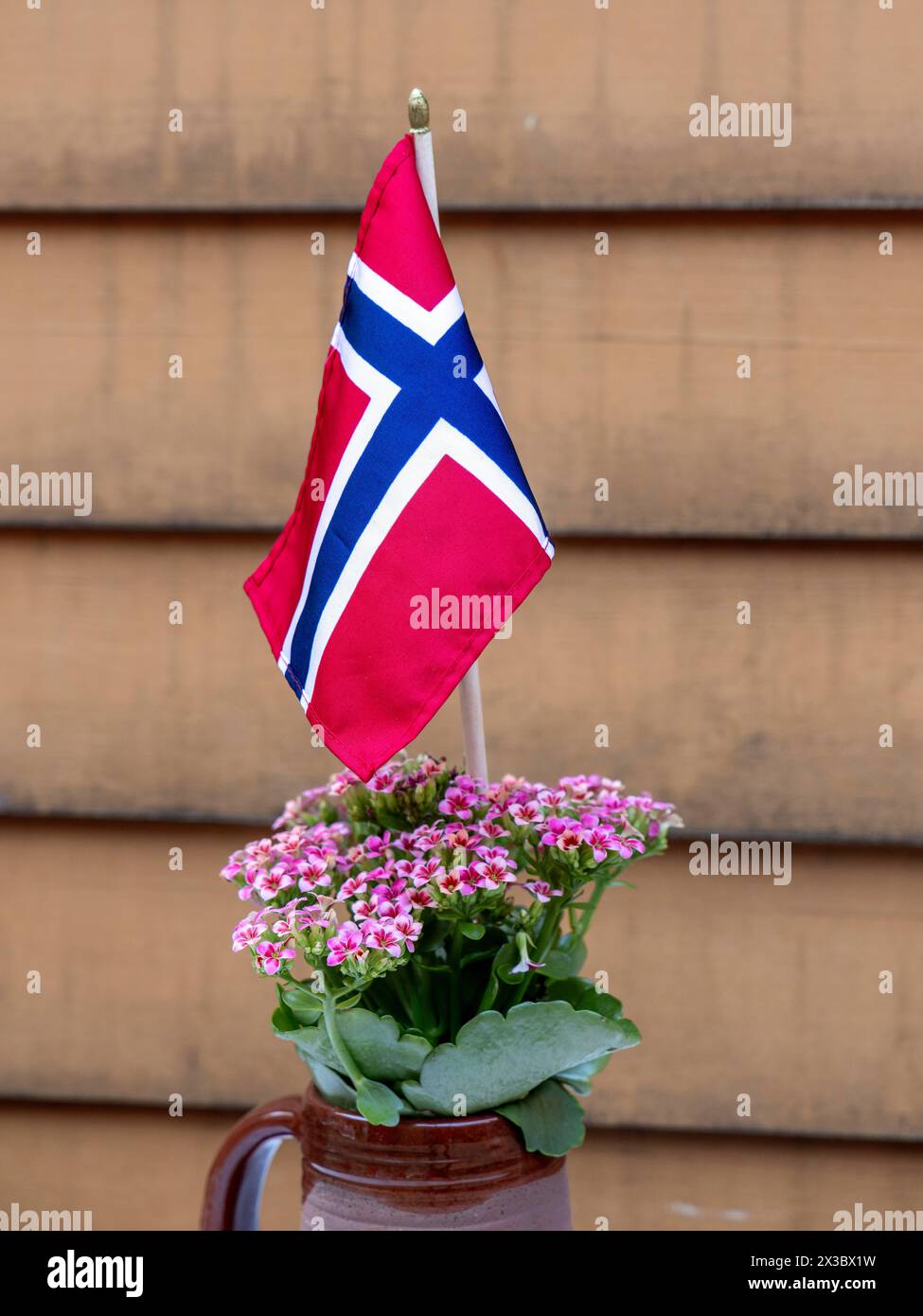 Flag, distretto di Bryggen, Bergen, Norvegia, costa sud-occidentale, Scandinavia, Nord Europa Foto Stock