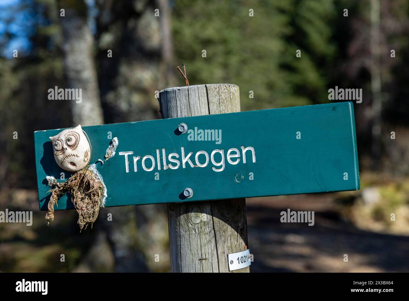 Troll, Floyen Mountain, Bergen, provincia di Vestland, Norvegia, costa sud-occidentale, Scandinavia, Europa settentrionale Foto Stock