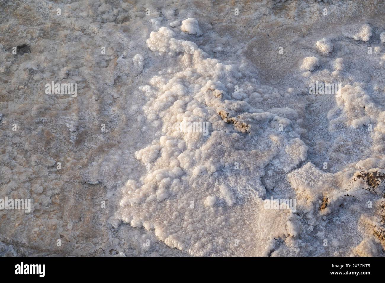 Vista dettagliata delle formazioni di sale cristallizzato sulla superficie, evidenziando le trame e i motivi naturali creati. Foto Stock