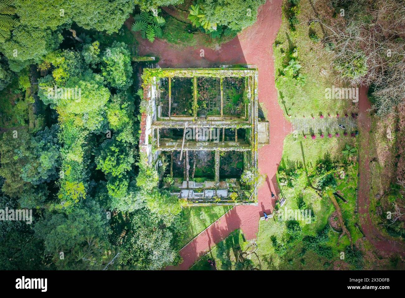 Rovine aeree nel verde lussureggiante delle Azzorre, Furnas, Portogallo Foto Stock