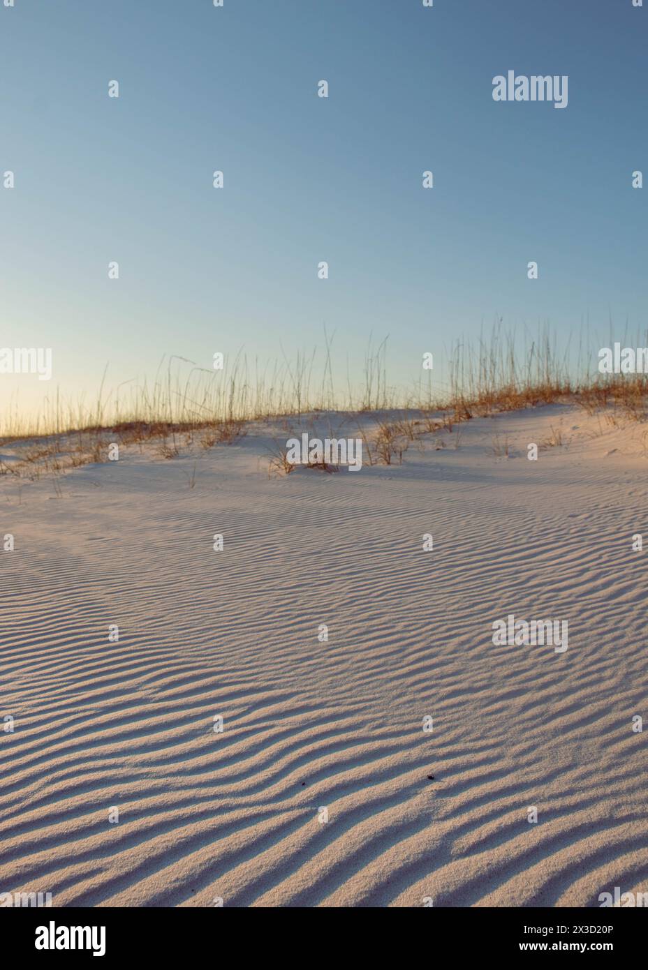 Ritratto delle dune al tramonto al Gulf State Park Foto Stock