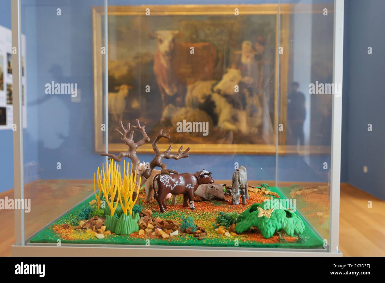 Sonderausstellung mit dem Titel Playmobil trifft Gemaeldegalerie im Kasseler Schloss Wilhelmshoehe. Foto vom 24.04.2024: Diorama zum Gemaelde Vier Kuehe auf einer Weide , Paulus Potter um 1644 Der Hamburger Kuenstler Oliver Schaffer praesentiert vom 4. Mai bis 15. 30 settembre Dioramen aus Playmobil-Materialien, Die Gemaelde aus der Sammlung der Alten Meister im Schloss Wilhelmshoehe nachstellen. Auch einige Portraets bekannter Persoenlichkeiten wie etwa Martin Luther setzt Schaffer phantasievoll um und schafft so neue Perspektiven. Siehe epd-Meldung vom 26.04.2024 SOLO PER USO EDITORIALE *** Foto Stock