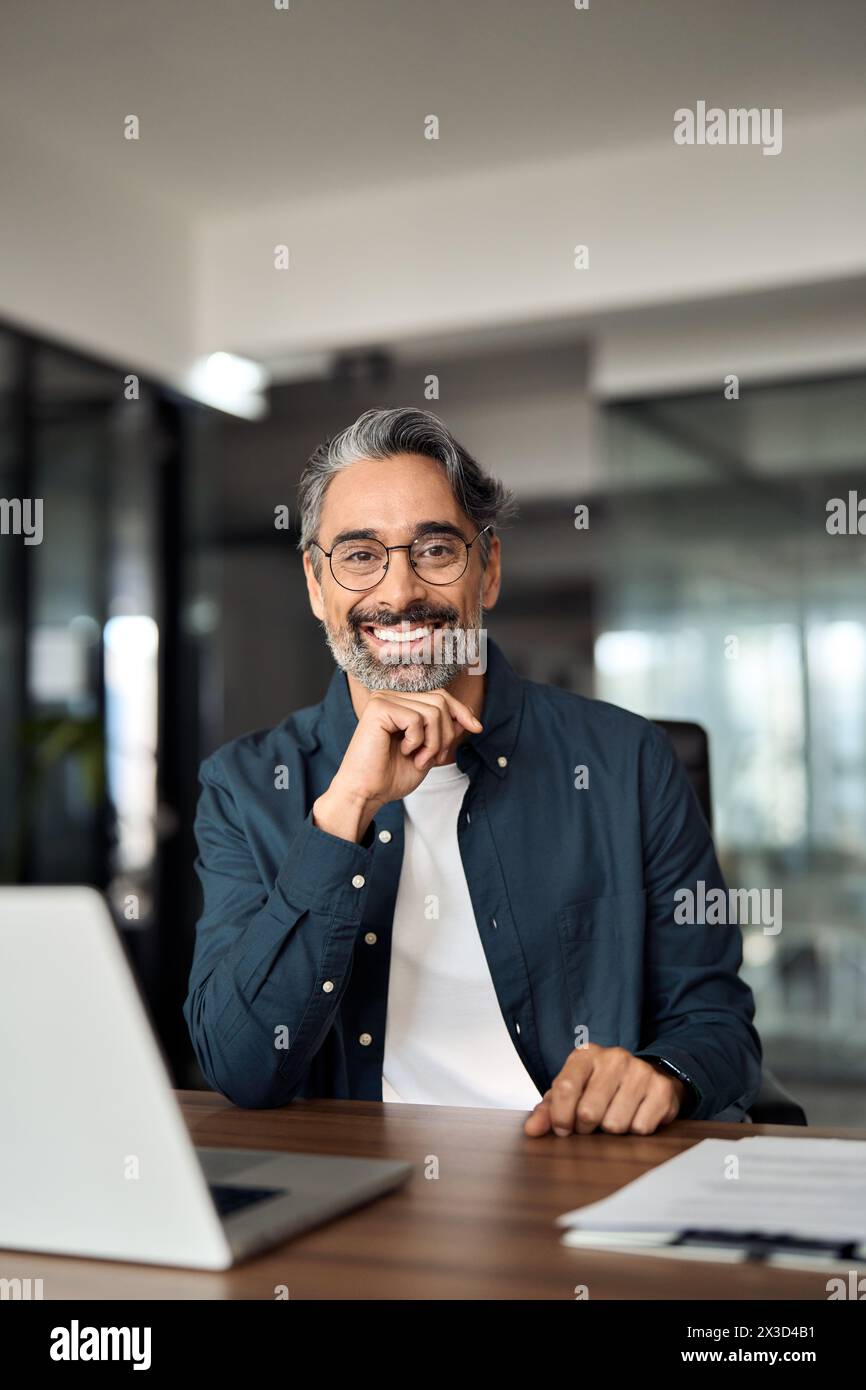 Uomo d'affari felice di mezza età che lavora su un notebook in ufficio, ritratto verticale. Foto Stock