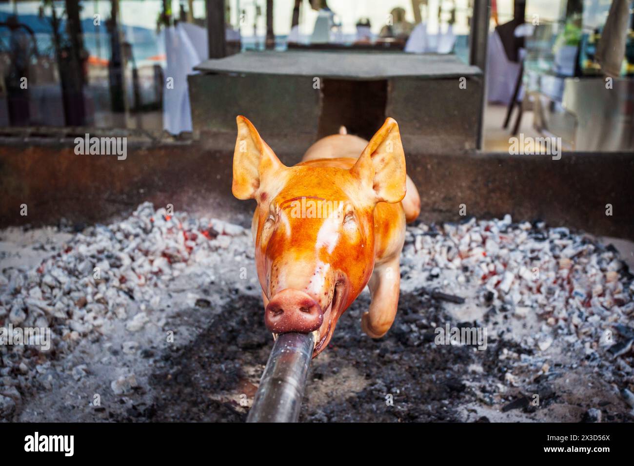Il barbecue di maiale che succhia arrostito su uno spiedo è un alimento popolare in Filippine Foto Stock