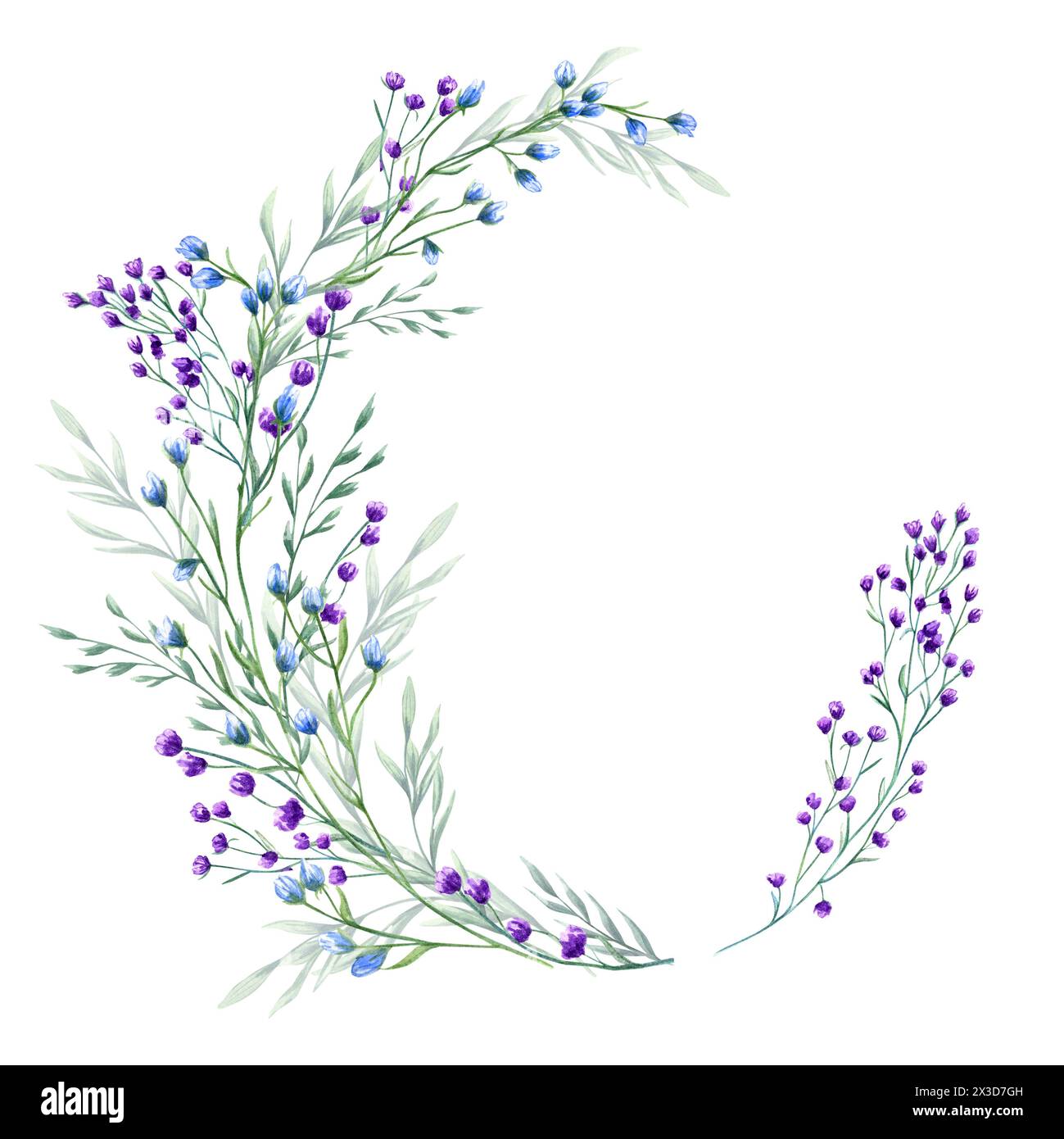 Fiori viola, blu e spikelet. Primavera, erbe verdi estive. Corona di prati, fiori selvatici della foresta. Cornice floreale di piante da campo in fiore. Foto Stock