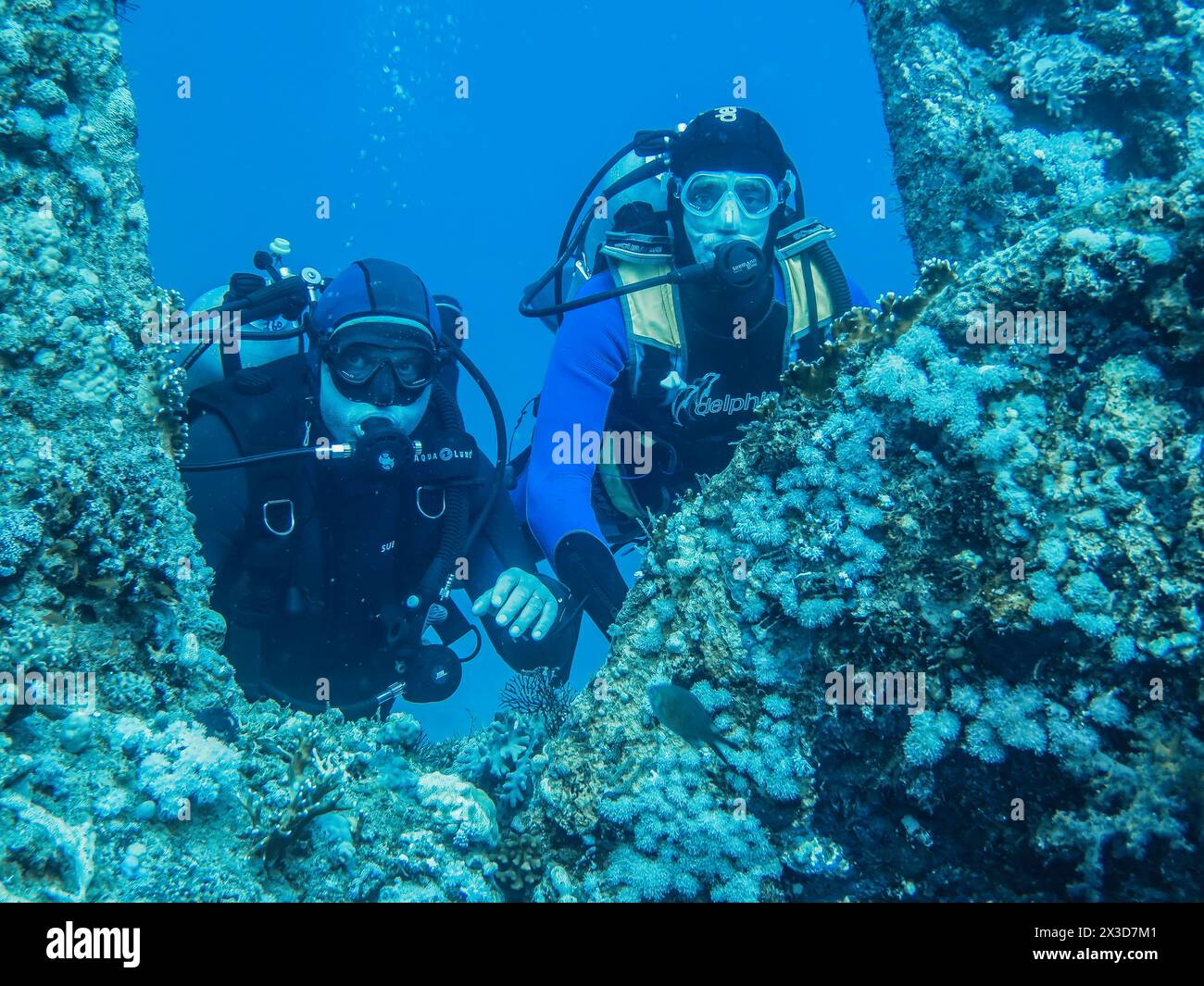 Taucher an der Schraube, Heck, Wrack der Dunraven, Rotes Meer, Ägypten Foto Stock