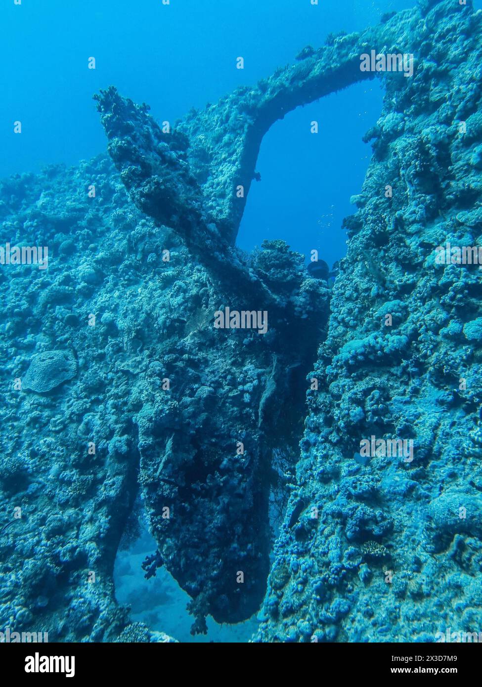 Schraube, Heck, Wrack der Dunraven, Rotes Meer, Ägypten Foto Stock