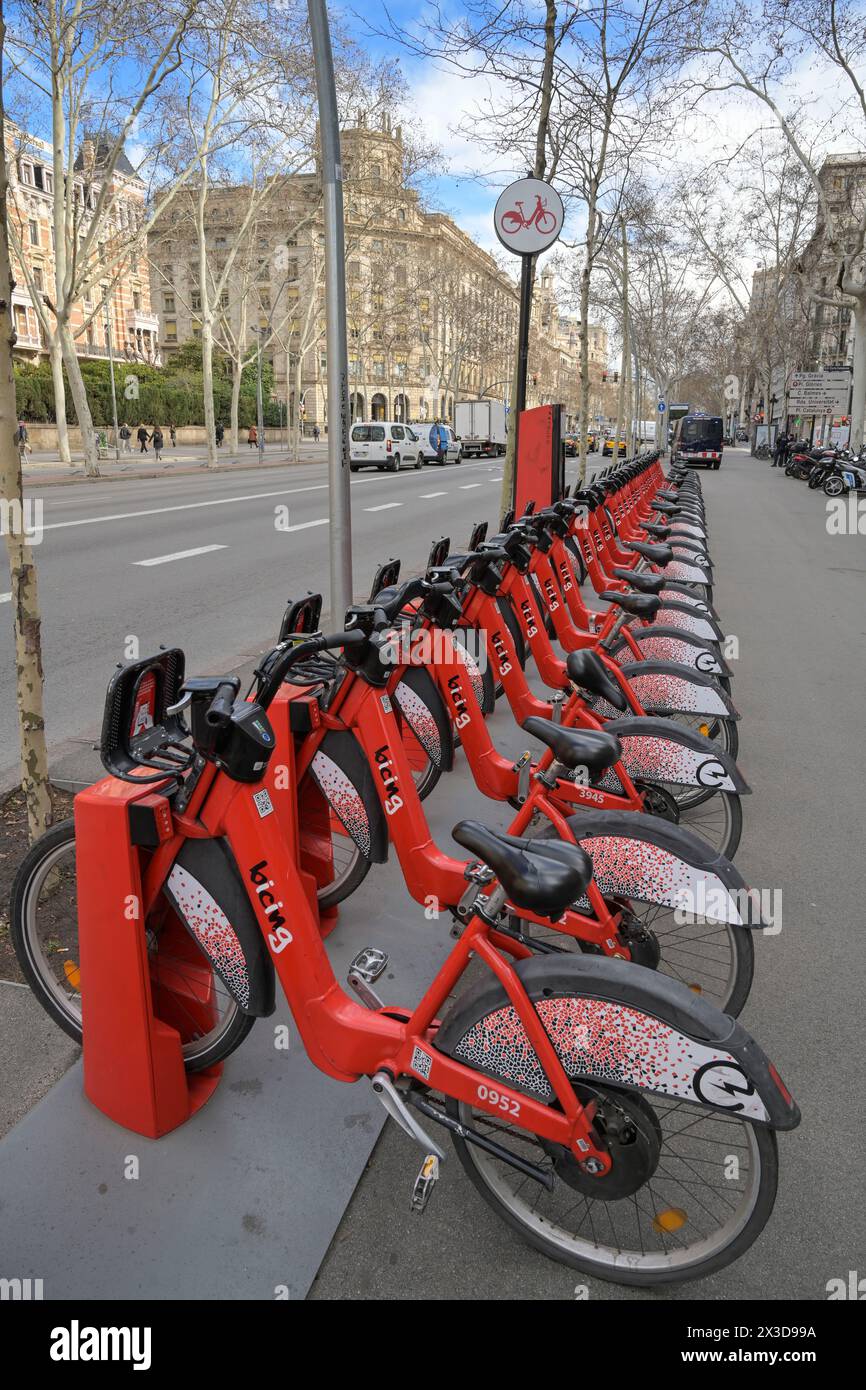 Rote Leihräder von bicing, Gran via de les Corts Catalanes, Barcellona, Katalonien, spagnolo Foto Stock