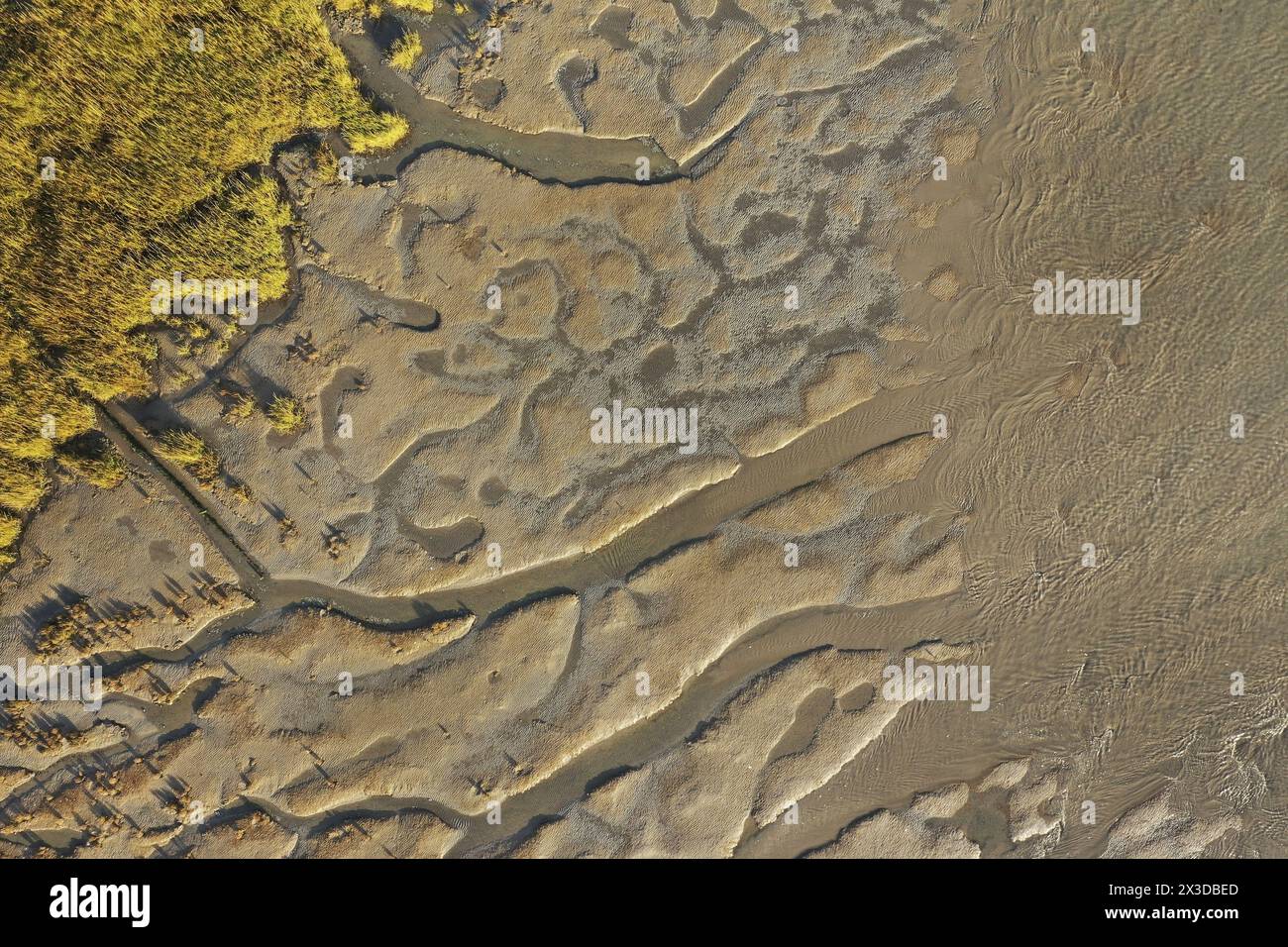 Insenature mareali dall'alto, Paesi Bassi, Westerschelde Foto Stock